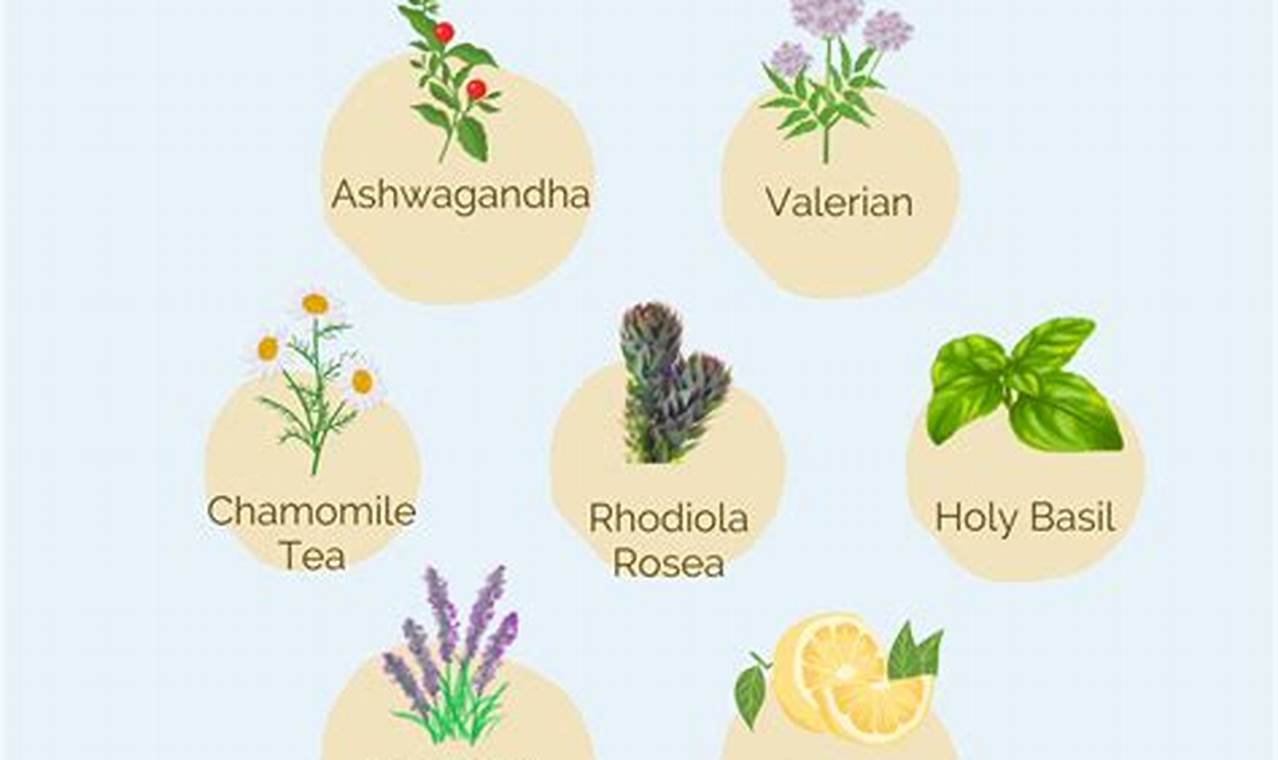 Natural Herbal Remedy for Anxiety & Stress: Relief Tips The Ultimate Herbal Remedies Guide: Natural Healing for a Healthier Life Natural Herbal Remedy for Anxiety & Stress: Relief Tips | The Ultimate Herbal Remedies Guide: Natural Healing for a Healthier Life