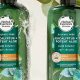 Best Herbal Essences Anti Dandruff Shampoo: Guide & Tips | The Ultimate Herbal Remedies Guide: Natural Healing for a Healthier Life