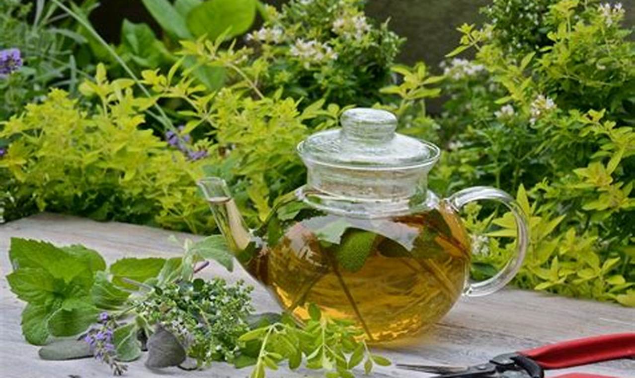 Grow & Brew: Herbal Garden Tea for Wellness The Ultimate Herbal Remedies Guide: Natural Healing for a Healthier Life Grow & Brew: Herbal Garden Tea for Wellness | The Ultimate Herbal Remedies Guide: Natural Healing for a Healthier Life