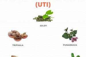 Best UTI Herbal Remedy Guide: Natural Solutions Now! The Ultimate Herbal Remedies Guide: Natural Healing for a Healthier Life Best UTI Herbal Remedy Guide: Natural Solutions Now! | The Ultimate Herbal Remedies Guide: Natural Healing for a Healthier Life
