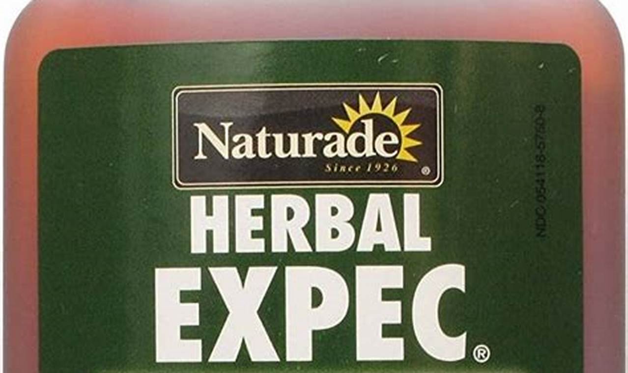 Understanding Herbal Expect: Benefits & Realism The Ultimate Herbal Remedies Guide: Natural Healing for a Healthier Life Understanding Herbal Expect: Benefits & Realism | The Ultimate Herbal Remedies Guide: Natural Healing for a Healthier Life