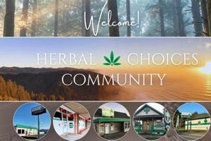 Reedsport Herbal Choices: Your Guide to Natural Options | The Ultimate Herbal Remedies Guide: Natural Healing for a Healthier Life