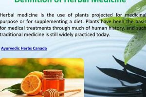 Unlocking Herbal Definition: Benefits & Uses The Ultimate Herbal Remedies Guide: Natural Healing for a Healthier Life Unlocking Herbal Definition: Benefits & Uses | The Ultimate Herbal Remedies Guide: Natural Healing for a Healthier Life