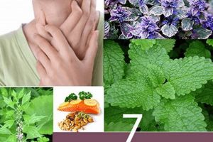 Natural Hyperthyroidism Herbal Treatment: Relief + Guide The Ultimate Herbal Remedies Guide: Natural Healing for a Healthier Life Natural Hyperthyroidism Herbal Treatment: Relief + Guide | The Ultimate Herbal Remedies Guide: Natural Healing for a Healthier Life