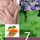 Natural Hyperthyroidism Herbal Treatment: Relief + Guide | The Ultimate Herbal Remedies Guide: Natural Healing for a Healthier Life