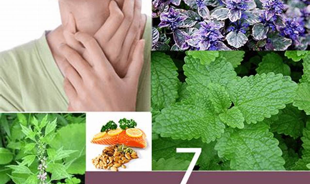 Natural Hyperthyroidism Herbal Treatment: Relief + Guide The Ultimate Herbal Remedies Guide: Natural Healing for a Healthier Life Natural Hyperthyroidism Herbal Treatment: Relief + Guide | The Ultimate Herbal Remedies Guide: Natural Healing for a Healthier Life