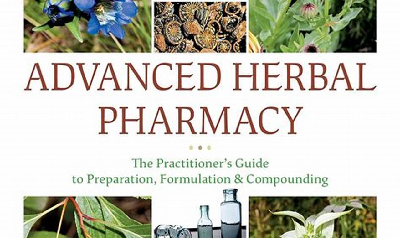 Beyond Basics: Advanced Herbal Therapies Today The Ultimate Herbal Remedies Guide: Natural Healing for a Healthier Life Beyond Basics: Advanced Herbal Therapies Today | The Ultimate Herbal Remedies Guide: Natural Healing for a Healthier Life