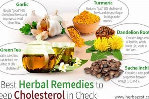 Natural Herbal Remedies to Lower Cholesterol: Your Guide | The Ultimate Herbal Remedies Guide: Natural Healing for a Healthier Life
