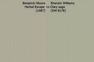 Discover Herbal Escape Benjamin Moore: Serene Hues | The Ultimate Herbal Remedies Guide: Natural Healing for a Healthier Life