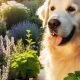 Natural Herbal Remedies for Dog Incontinence: A Guide | The Ultimate Herbal Remedies Guide: Natural Healing for a Healthier Life