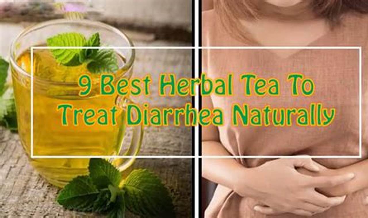 Can Tea Cause It? Herbal Tea & Diarrhea: What You Need to Know The Ultimate Herbal Remedies Guide: Natural Healing for a Healthier Life Can Tea Cause It? Herbal Tea & Diarrhea: What You Need to Know | The Ultimate Herbal Remedies Guide: Natural Healing for a Healthier Life