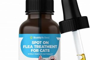 Best Herbal Tick Repellent for Cats: Natural Shield The Ultimate Herbal Remedies Guide: Natural Healing for a Healthier Life Best Herbal Tick Repellent for Cats: Natural Shield | The Ultimate Herbal Remedies Guide: Natural Healing for a Healthier Life