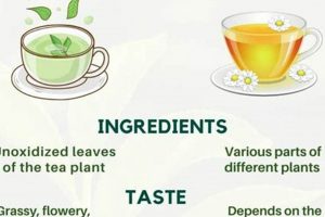 Green vs. Herbal Tea: Unveiling Key Difference between Green Tea and Herbal Tea Today | The Ultimate Herbal Remedies Guide: Natural Healing for a Healthier Life