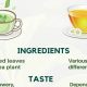 Green vs. Herbal Tea: Unveiling Key Difference between Green Tea and Herbal Tea Today | The Ultimate Herbal Remedies Guide: Natural Healing for a Healthier Life