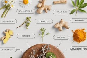 Best Herbal Remedies for Menstrual Cramps Relief The Ultimate Herbal Remedies Guide: Natural Healing for a Healthier Life Best Herbal Remedies for Menstrual Cramps Relief | The Ultimate Herbal Remedies Guide: Natural Healing for a Healthier Life