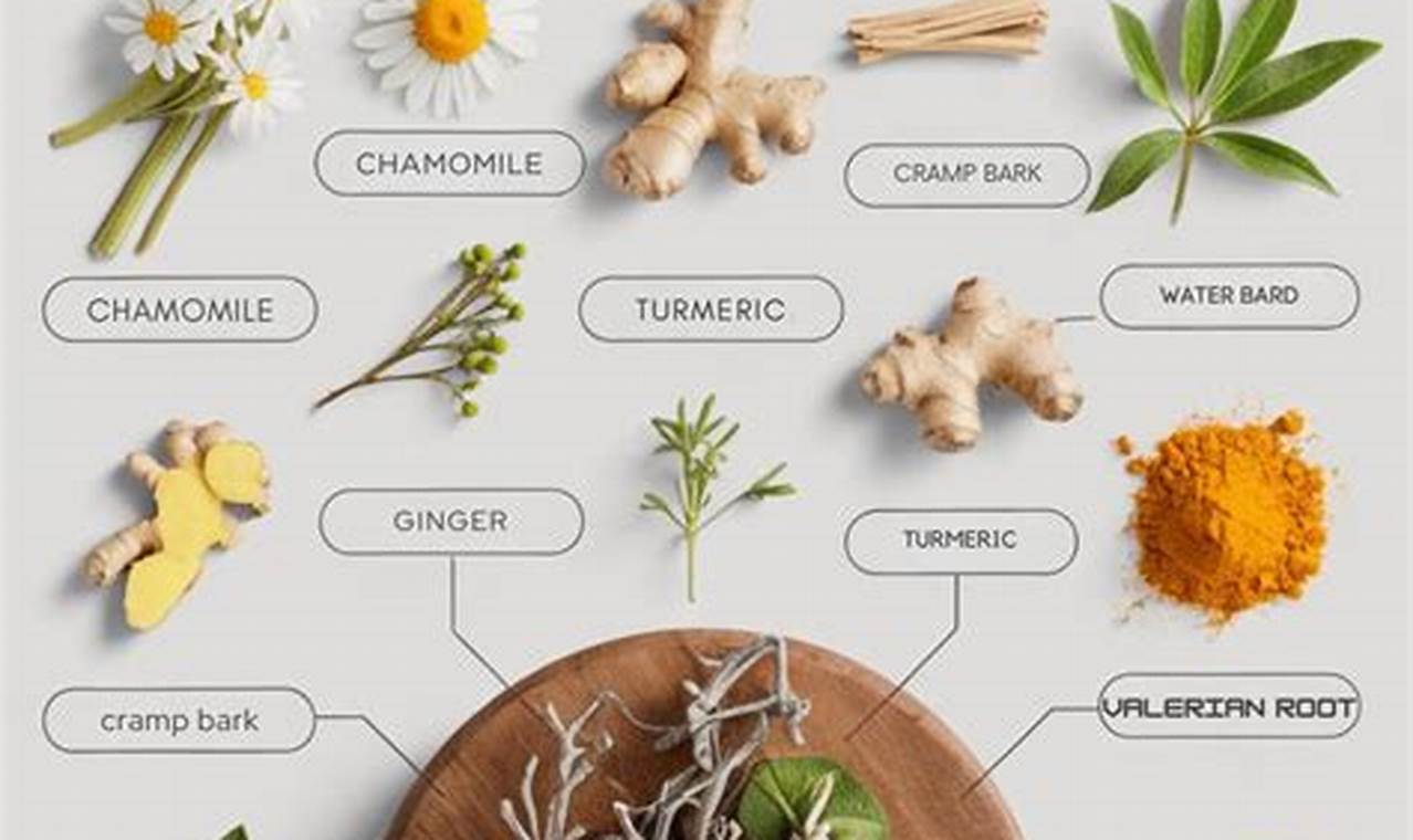 Best Herbal Remedies for Menstrual Cramps Relief | The Ultimate Herbal Remedies Guide: Natural Healing for a Healthier Life