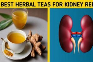 Best Teas: What Herbal Teas are Good for Kidney Function? | The Ultimate Herbal Remedies Guide: Natural Healing for a Healthier Life