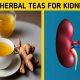 Best Teas: What Herbal Teas are Good for Kidney Function? | The Ultimate Herbal Remedies Guide: Natural Healing for a Healthier Life