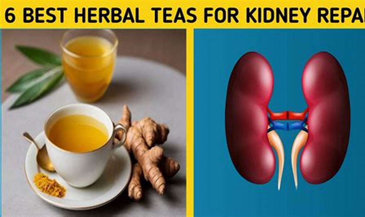 Best Teas: What Herbal Teas are Good for Kidney Function? The Ultimate Herbal Remedies Guide: Natural Healing for a Healthier Life Best Teas: What Herbal Teas are Good for Kidney Function? | The Ultimate Herbal Remedies Guide: Natural Healing for a Healthier Life
