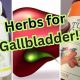 Natural Herbal for Gallbladder Health: Relief & Support | The Ultimate Herbal Remedies Guide: Natural Healing for a Healthier Life