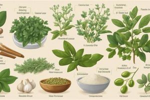 Natural Herbal Remedies for Hypertension: Benefits & Risks The Ultimate Herbal Remedies Guide: Natural Healing for a Healthier Life Natural Herbal Remedies for Hypertension: Benefits & Risks | The Ultimate Herbal Remedies Guide: Natural Healing for a Healthier Life