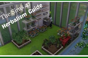 The Ultimate Herbalism Skill Sims 4 Guide & Tips | The Ultimate Herbal Remedies Guide: Natural Healing for a Healthier Life