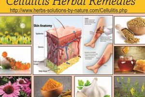 Natural Herbal Remedy for Cellulitis: Uses & Relief | The Ultimate Herbal Remedies Guide: Natural Healing for a Healthier Life