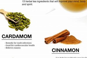 Best Herbal Tea Ingredients: Your Complete Guide The Ultimate Herbal Remedies Guide: Natural Healing for a Healthier Life Best Herbal Tea Ingredients: Your Complete Guide | The Ultimate Herbal Remedies Guide: Natural Healing for a Healthier Life