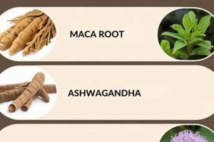 Boost Libido Naturally: Herbal Remedies for Intimacy | The Ultimate Herbal Remedies Guide: Natural Healing for a Healthier Life