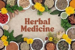 Guide About Herbal Remedies: Uses & Benefits | The Ultimate Herbal Remedies Guide: Natural Healing for a Healthier Life