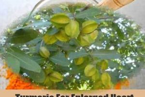 Natural Herbal Remedies for Enlarged Heart: A Guide The Ultimate Herbal Remedies Guide: Natural Healing for a Healthier Life Natural Herbal Remedies for Enlarged Heart: A Guide | The Ultimate Herbal Remedies Guide: Natural Healing for a Healthier Life