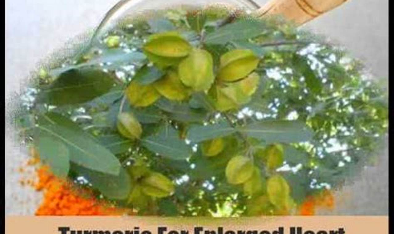Natural Herbal Remedies for Enlarged Heart: A Guide The Ultimate Herbal Remedies Guide: Natural Healing for a Healthier Life Natural Herbal Remedies for Enlarged Heart: A Guide | The Ultimate Herbal Remedies Guide: Natural Healing for a Healthier Life