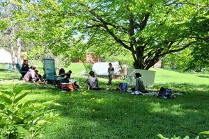 Your Guide to Vermont Center Integrative Herbalism | The Ultimate Herbal Remedies Guide: Natural Healing for a Healthier Life