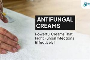 Best Herbal Antifungal: Natural Remedies Guide The Ultimate Herbal Remedies Guide: Natural Healing for a Healthier Life Best Herbal Antifungal: Natural Remedies Guide | The Ultimate Herbal Remedies Guide: Natural Healing for a Healthier Life