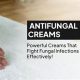 Best Herbal Antifungal: Natural Remedies Guide | The Ultimate Herbal Remedies Guide: Natural Healing for a Healthier Life