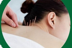 Charlotte's Evergreen Acupuncture &amp; Herbal Clinic | The Ultimate Herbal Remedies Guide: Natural Healing for a Healthier Life