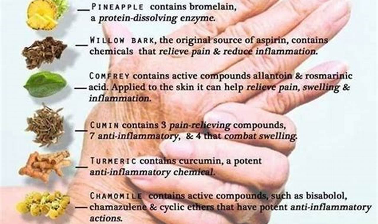 Natural Carpal Tunnel Herbal Treatment Relief Today | The Ultimate Herbal Remedies Guide: Natural Healing for a Healthier Life
