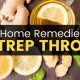 Natural Strep Throat Herbal Remedies: Relief + Guide | The Ultimate Herbal Remedies Guide: Natural Healing for a Healthier Life