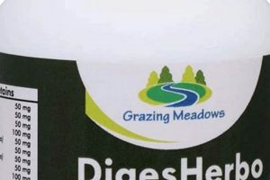 Natural Aid: Herbal Supplements for Digestion Relief Today | The Ultimate Herbal Remedies Guide: Natural Healing for a Healthier Life