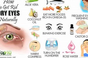 Natural Help: Dry Eyes Herbal Remedy Guide | The Ultimate Herbal Remedies Guide: Natural Healing for a Healthier Life