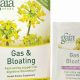 Best Herbal Tea for Bloating & Gas Relief: Soothe Your Gut! | The Ultimate Herbal Remedies Guide: Natural Healing for a Healthier Life