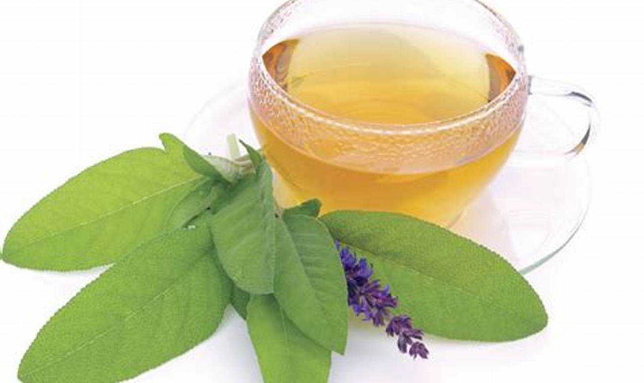 Best Sage Herbal Tea Blends: Benefits & Recipes | The Ultimate Herbal Remedies Guide: Natural Healing for a Healthier Life