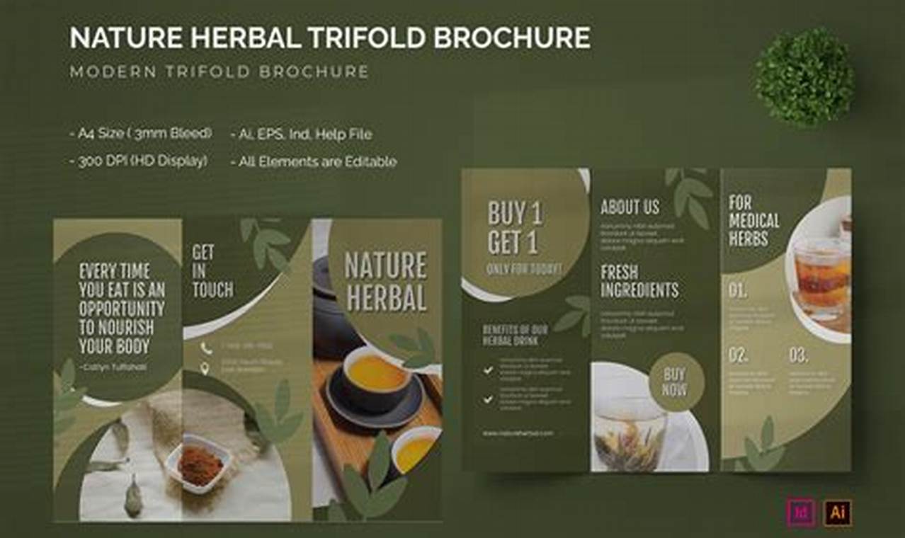 Unlocking Herbal Creative: Nature's Innovative Path | The Ultimate Herbal Remedies Guide: Natural Healing for a Healthier Life