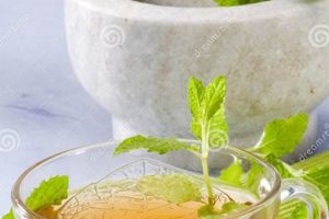Best Mint Herbal Tea: Benefits &amp; Brews! | The Ultimate Herbal Remedies Guide: Natural Healing for a Healthier Life