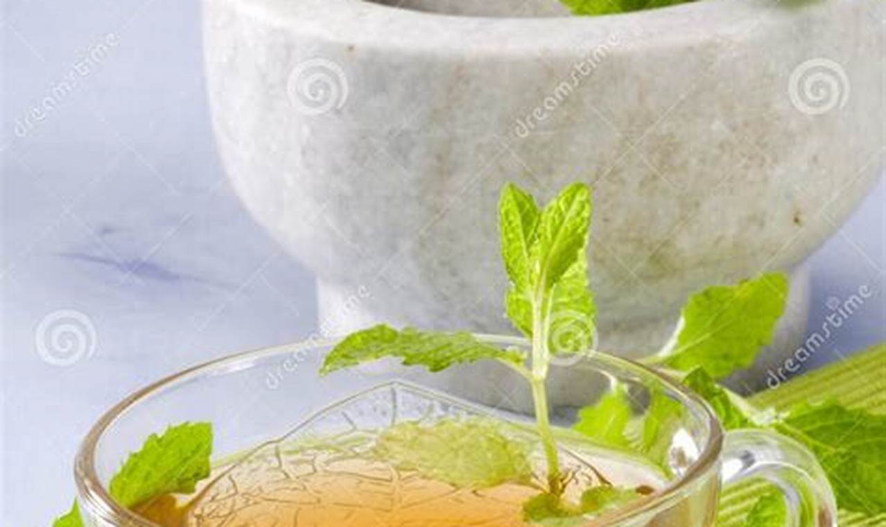 Best Mint Herbal Tea: Benefits &amp; Brews! | The Ultimate Herbal Remedies Guide: Natural Healing for a Healthier Life