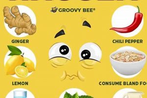 Top Herbal Anti Nausea Remedies: Relief Naturally | The Ultimate Herbal Remedies Guide: Natural Healing for a Healthier Life