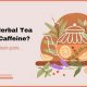 Does Herbal Tea Have Caffeine? + Simple Facts | The Ultimate Herbal Remedies Guide: Natural Healing for a Healthier Life