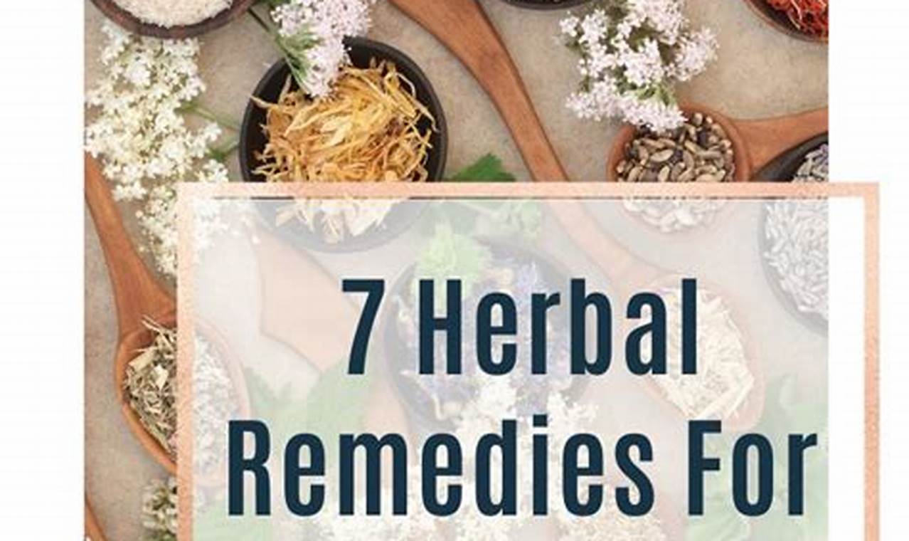 Natural Prostate Support: Herbal Remedies Explored | The Ultimate Herbal Remedies Guide: Natural Healing for a Healthier Life