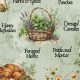 The Magic of Herbal Witch Craft: Herbs & Spells | The Ultimate Herbal Remedies Guide: Natural Healing for a Healthier Life