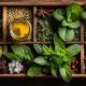 Natural Herbal Remedies for Congestion Relief | The Ultimate Herbal Remedies Guide: Natural Healing for a Healthier Life